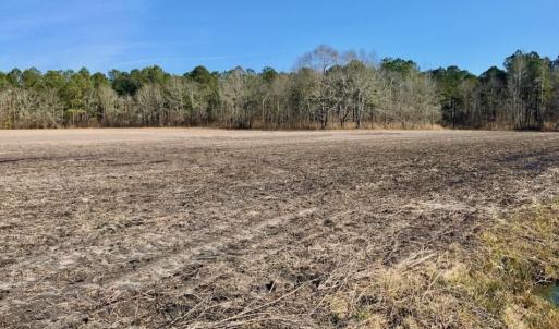 Photo of UNDER CONTRACT!  13.5 Acres of Farm and Timber Land For Sale In Craven County NC!