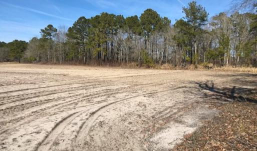 Photo of UNDER CONTRACT!  13.5 Acres of Farm and Timber Land For Sale In Craven County NC!