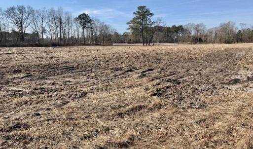 Photo of UNDER CONTRACT!  13.5 Acres of Farm and Timber Land For Sale In Craven County NC!
