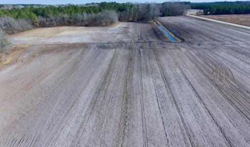 Photo of UNDER CONTRACT!  13.5 Acres of Farm and Timber Land For Sale In Craven County NC!
