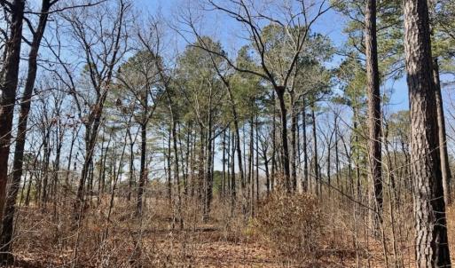Photo of UNDER CONTRACT!  13.5 Acres of Farm and Timber Land For Sale In Craven County NC!