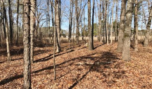 Photo of UNDER CONTRACT!  13.5 Acres of Farm and Timber Land For Sale In Craven County NC!