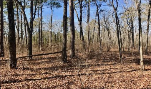 Photo of UNDER CONTRACT!  13.5 Acres of Farm and Timber Land For Sale In Craven County NC!