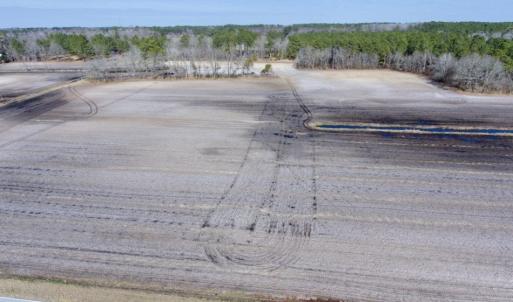 Photo of UNDER CONTRACT!  13.5 Acres of Farm and Timber Land For Sale In Craven County NC!