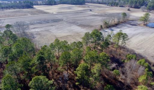 Photo of UNDER CONTRACT!  13.5 Acres of Farm and Timber Land For Sale In Craven County NC!