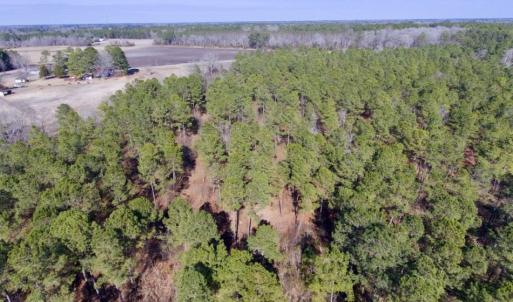 Photo of UNDER CONTRACT!  13.5 Acres of Farm and Timber Land For Sale In Craven County NC!