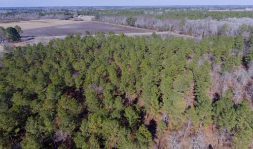 Photo of UNDER CONTRACT!  14.7 Acres of Farm and Residential Land For Sale in Craven County NC!