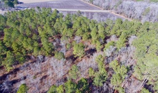 Photo of UNDER CONTRACT!  14.7 Acres of Farm and Residential Land For Sale in Craven County NC!