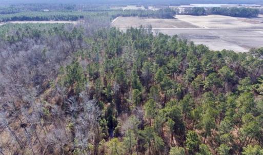 Photo of UNDER CONTRACT!  18 Acres of Residential and Recreational Land For Sale in Craven County NC!