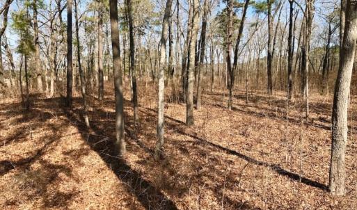 Photo of UNDER CONTRACT!  18 Acres of Residential and Recreational Land For Sale in Craven County NC!