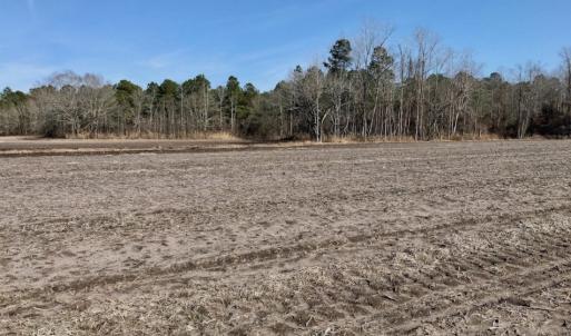 Photo of UNDER CONTRACT!  18 Acres of Residential and Recreational Land For Sale in Craven County NC!
