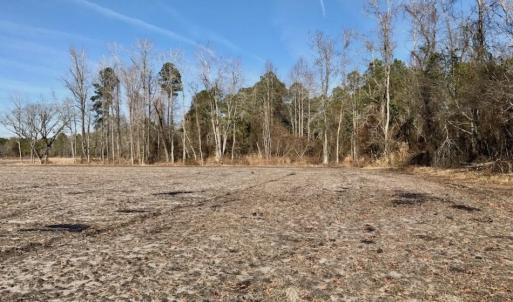 Photo of UNDER CONTRACT!  18 Acres of Residential and Recreational Land For Sale in Craven County NC!