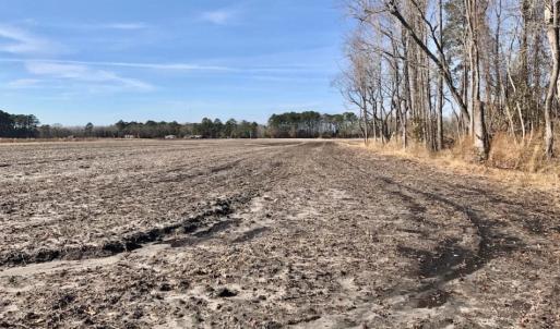 Photo of UNDER CONTRACT!  18 Acres of Residential and Recreational Land For Sale in Craven County NC!