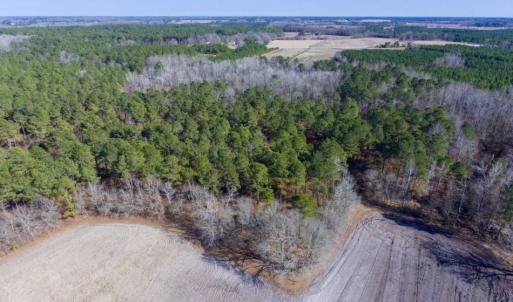 Photo of UNDER CONTRACT!  18 Acres of Residential and Recreational Land For Sale in Craven County NC!