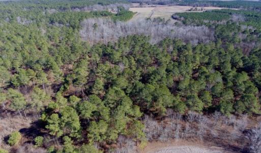 Photo of UNDER CONTRACT!  18 Acres of Residential and Recreational Land For Sale in Craven County NC!