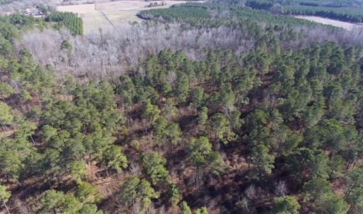Photo of UNDER CONTRACT!  18 Acres of Residential and Recreational Land For Sale in Craven County NC!