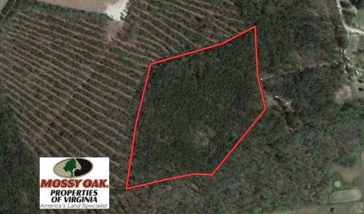 Photo of UNDER CONTRACT!  16.7 Acres of Hunting Land For Sale in Southampton County VA!