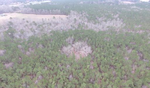 Photo of UNDER CONTRACT!  16.7 Acres of Hunting Land For Sale in Southampton County VA!