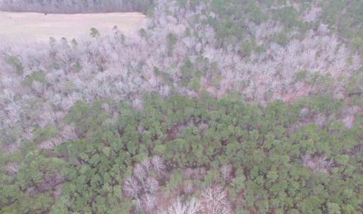 Photo of UNDER CONTRACT!  16.7 Acres of Hunting Land For Sale in Southampton County VA!