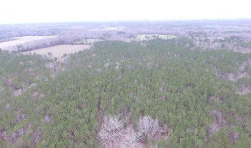 Photo of UNDER CONTRACT!  16.7 Acres of Hunting Land For Sale in Southampton County VA!