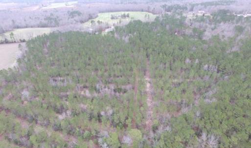 Photo of UNDER CONTRACT!  16.7 Acres of Hunting Land For Sale in Southampton County VA!