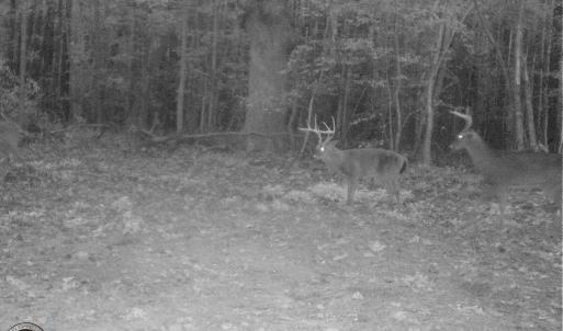 Photo of UNDER CONTRACT!  16.7 Acres of Hunting Land For Sale in Southampton County VA!