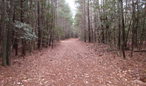 Photo of UNDER CONTRACT!  16.7 Acres of Hunting Land For Sale in Southampton County VA!