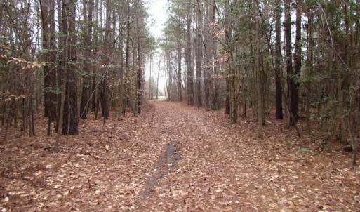 Photo of UNDER CONTRACT!  16.7 Acres of Hunting Land For Sale in Southampton County VA!
