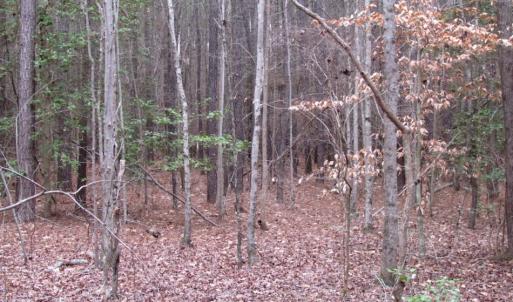 Photo of UNDER CONTRACT!  16.7 Acres of Hunting Land For Sale in Southampton County VA!