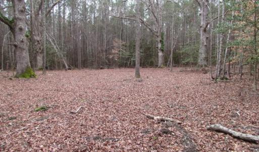 Photo of UNDER CONTRACT!  16.7 Acres of Hunting Land For Sale in Southampton County VA!