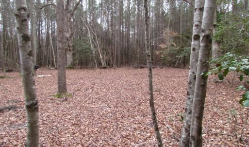 Photo of UNDER CONTRACT!  16.7 Acres of Hunting Land For Sale in Southampton County VA!