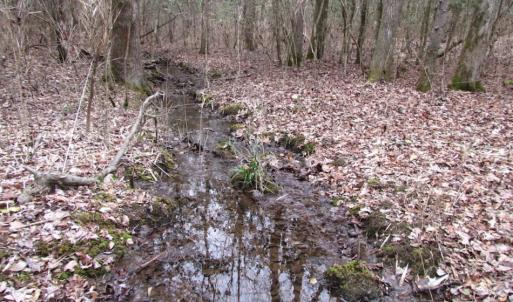 Photo of UNDER CONTRACT!  16.7 Acres of Hunting Land For Sale in Southampton County VA!