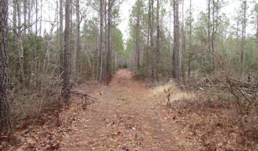 Photo of UNDER CONTRACT!  16.7 Acres of Hunting Land For Sale in Southampton County VA!