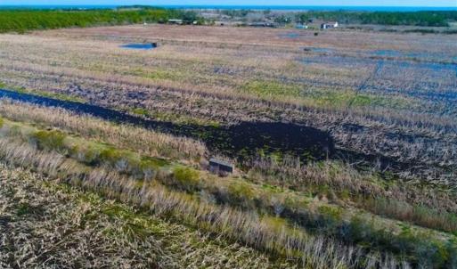Photo of SOLD!!  72.5 Acres of Productive Farm Land and Duck Impoundment For Sale in Hyde County NC!