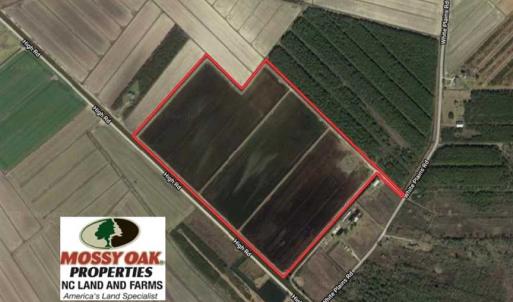 Photo of SOLD!!  72.5 Acres of Productive Farm Land and Duck Impoundment For Sale in Hyde County NC!