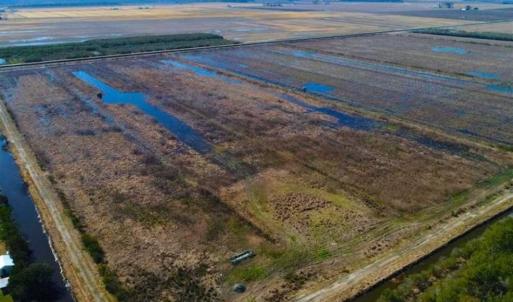 Photo of SOLD!!  72.5 Acres of Productive Farm Land and Duck Impoundment For Sale in Hyde County NC!