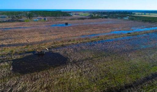 Photo of SOLD!!  72.5 Acres of Productive Farm Land and Duck Impoundment For Sale in Hyde County NC!