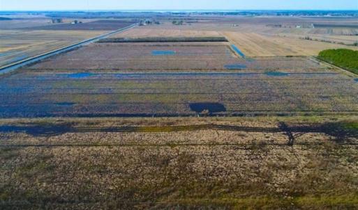 Photo of SOLD!!  72.5 Acres of Productive Farm Land and Duck Impoundment For Sale in Hyde County NC!