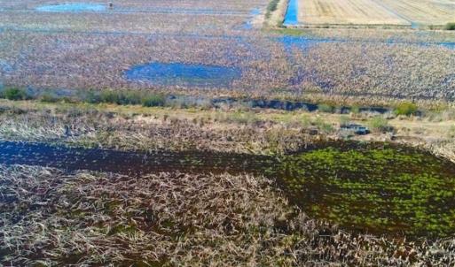 Photo of SOLD!!  72.5 Acres of Productive Farm Land and Duck Impoundment For Sale in Hyde County NC!