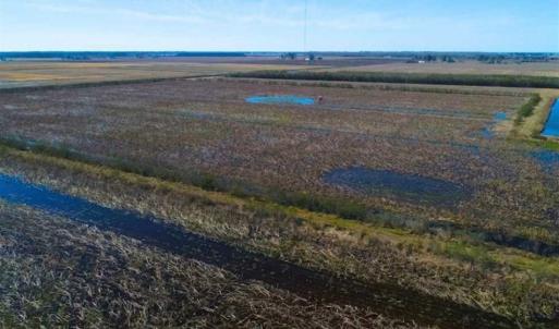 Photo of SOLD!!  72.5 Acres of Productive Farm Land and Duck Impoundment For Sale in Hyde County NC!