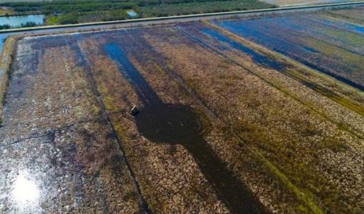 Photo of SOLD!!  72.5 Acres of Productive Farm Land and Duck Impoundment For Sale in Hyde County NC!