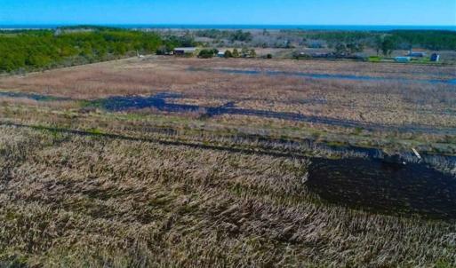 Photo of SOLD!!  72.5 Acres of Productive Farm Land and Duck Impoundment For Sale in Hyde County NC!