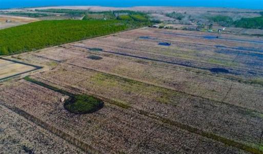 Photo of SOLD!!  72.5 Acres of Productive Farm Land and Duck Impoundment For Sale in Hyde County NC!