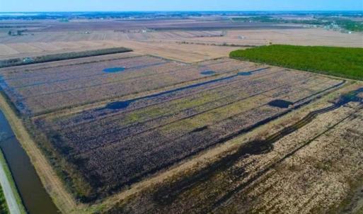 Photo of SOLD!!  72.5 Acres of Productive Farm Land and Duck Impoundment For Sale in Hyde County NC!