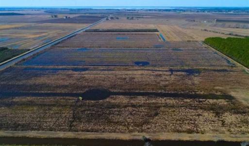 Photo of SOLD!!  72.5 Acres of Productive Farm Land and Duck Impoundment For Sale in Hyde County NC!