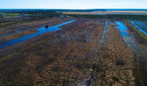 Photo of SOLD!!  72.5 Acres of Productive Farm Land and Duck Impoundment For Sale in Hyde County NC!