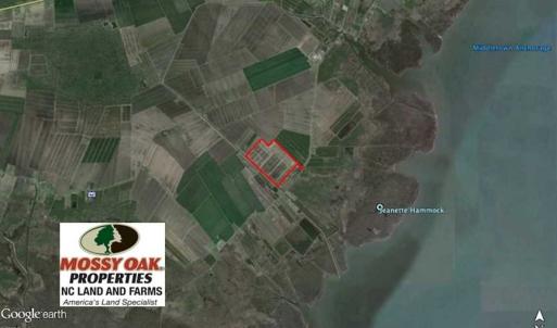 Photo of SOLD!!  72.5 Acres of Productive Farm Land and Duck Impoundment For Sale in Hyde County NC!