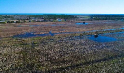 Photo of SOLD!!  72.5 Acres of Productive Farm Land and Duck Impoundment For Sale in Hyde County NC!