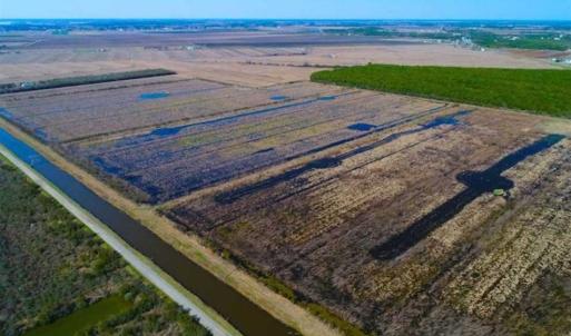 Photo of SOLD!!  72.5 Acres of Productive Farm Land and Duck Impoundment For Sale in Hyde County NC!