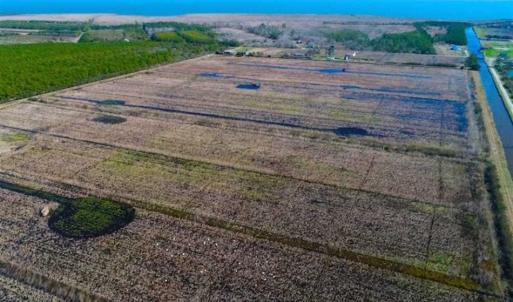 Photo of SOLD!!  72.5 Acres of Productive Farm Land and Duck Impoundment For Sale in Hyde County NC!